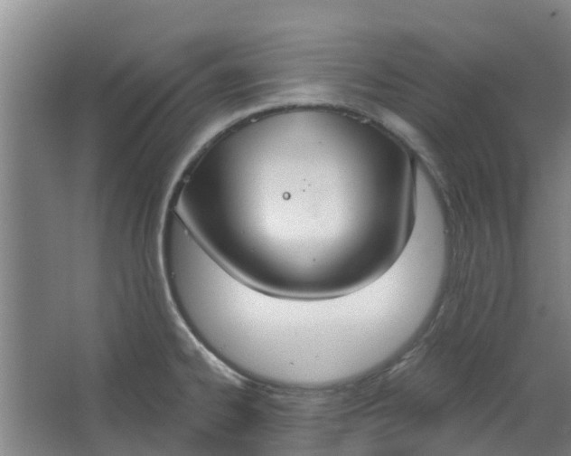 X0000062861334200601271520