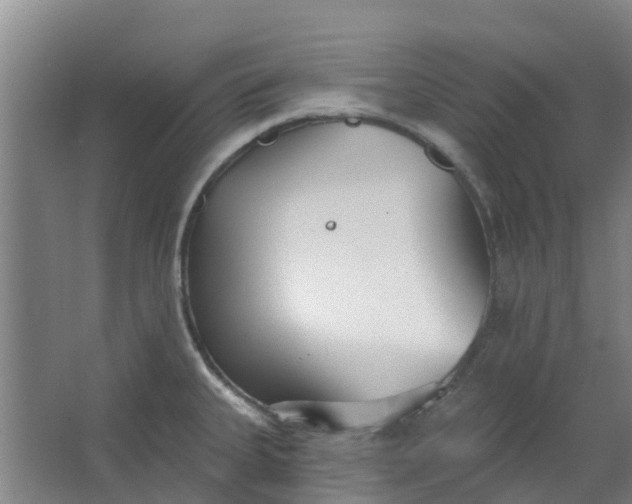 X0000062861335200601271520