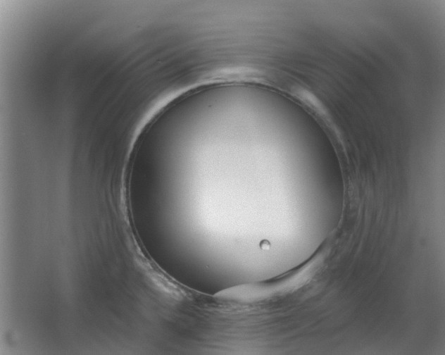 X0000062861336200601271520