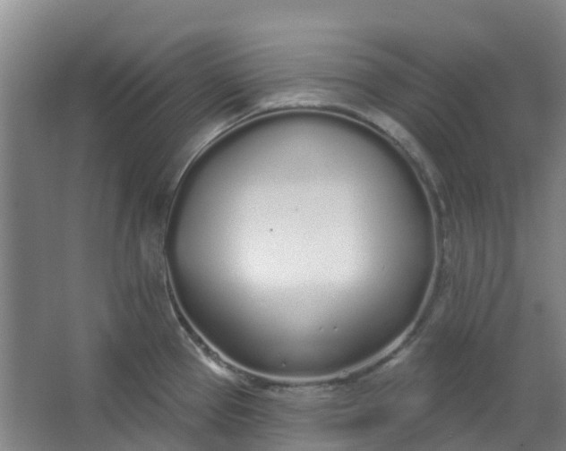 X0000062861337200601271520