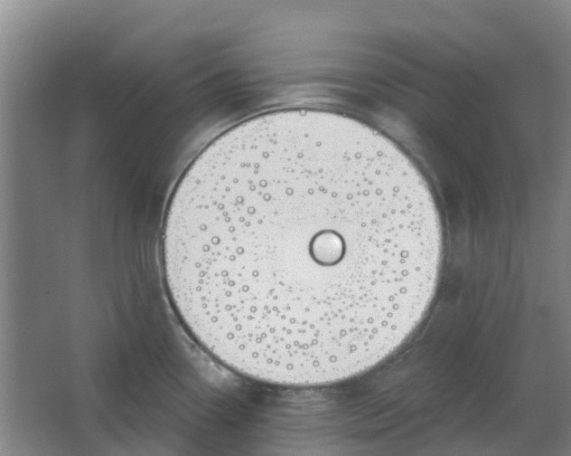 X0000062861338200601271520