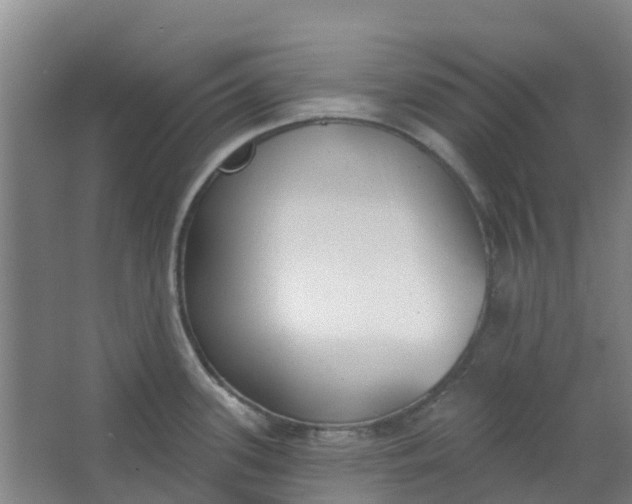 X0000062861339200601271520