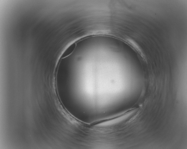 X0000062861340200601271520