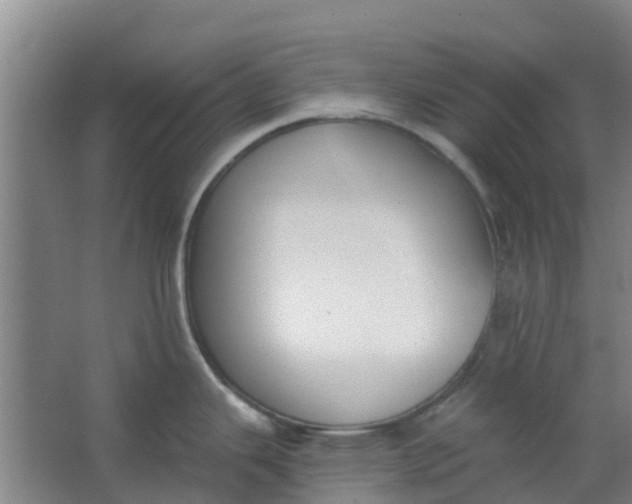 X0000062861343200601271520