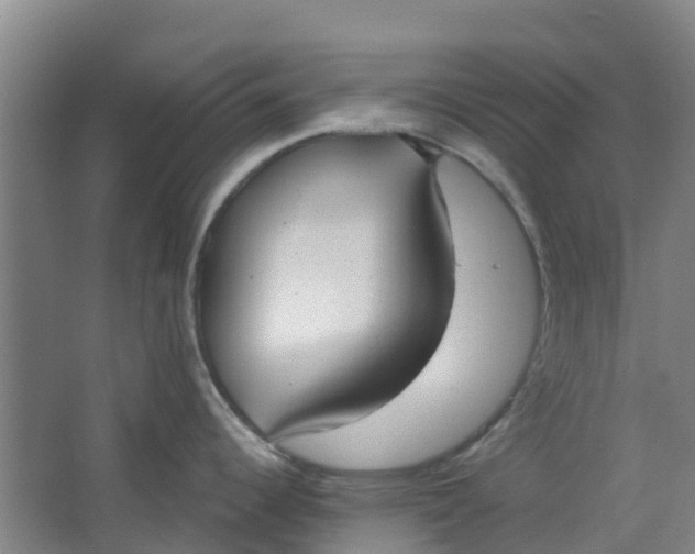 X0000062861344200601271520