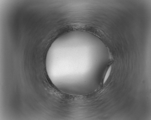 X0000062861345200601271519