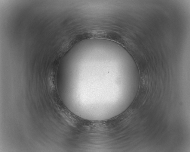 X0000062861346200601271519