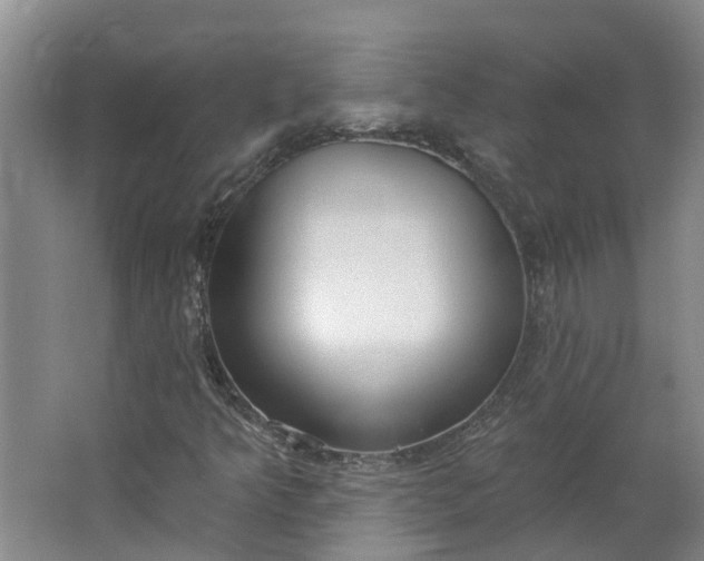 X0000062861349200601271519