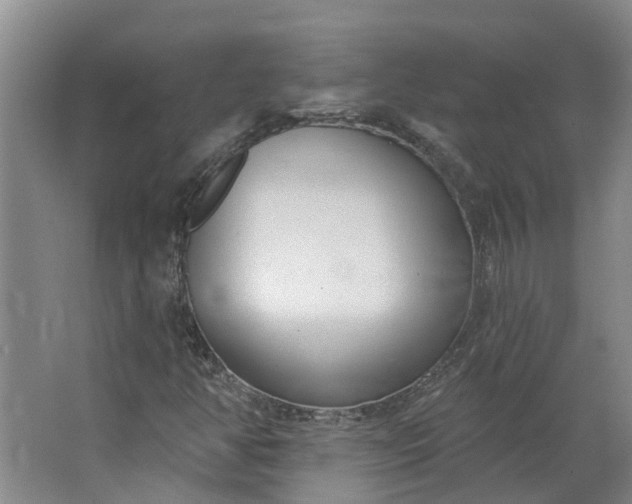 X0000062861350200601271519