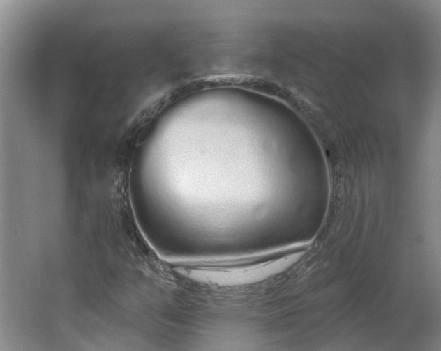 X0000062861351200601271519