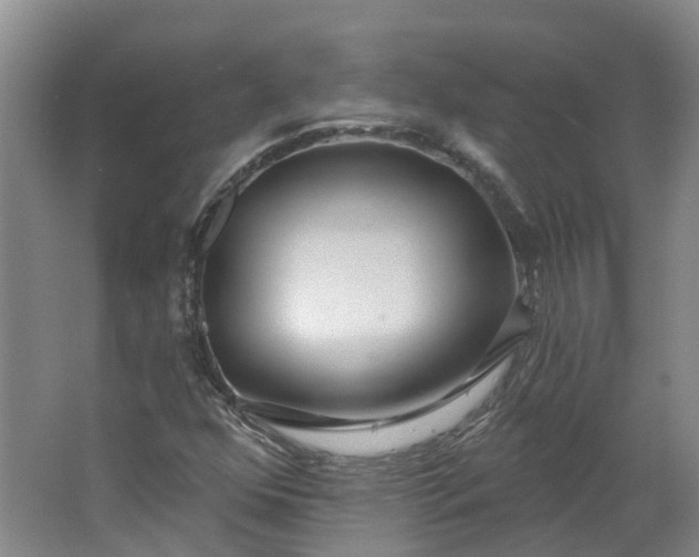 X0000062861352200601271519