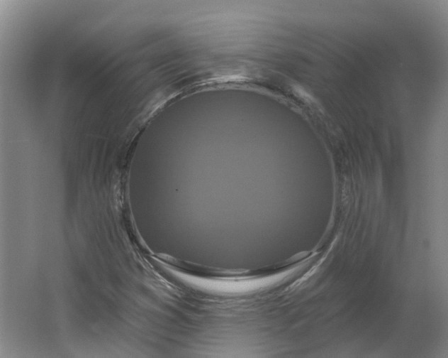 X0000062861353200601271519