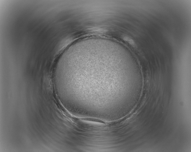 X0000062861354200601271519