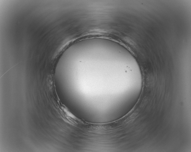 X0000062861355200601271519