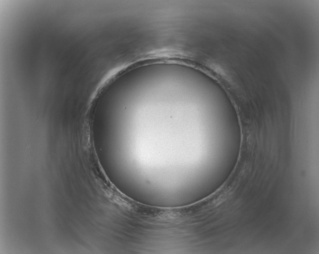 X0000062861358200601271519