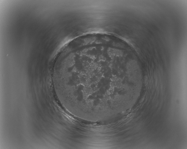 X0000062861359200601271519