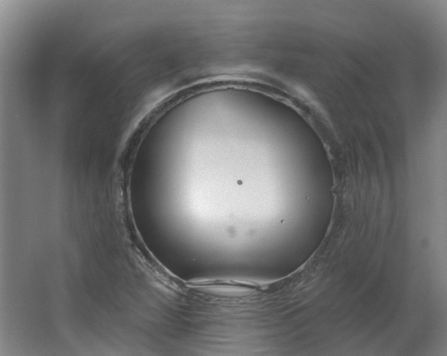 X0000062861360200601271519