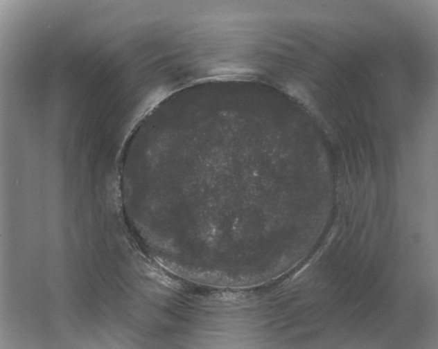 X0000062861362200601271519