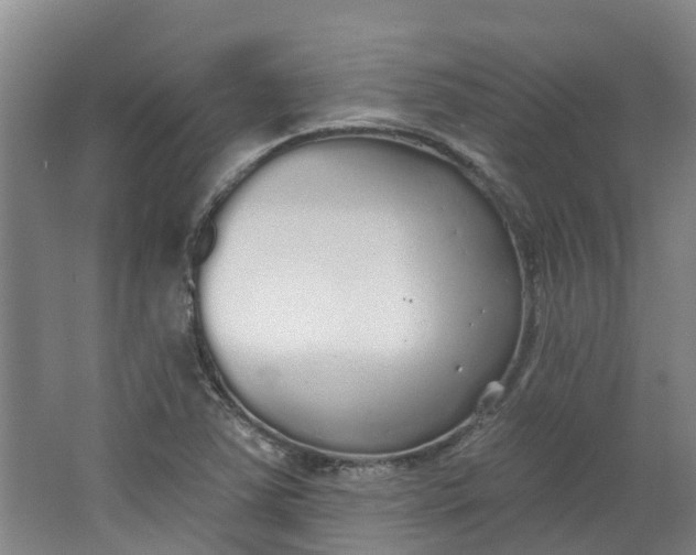 X0000062861363200601271519