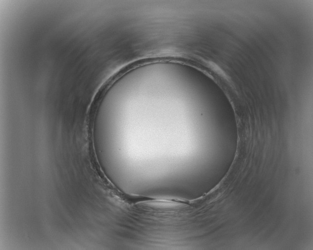 X0000062861364200601271519