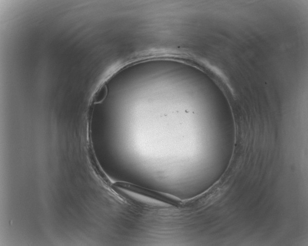 X0000062861365200601271519