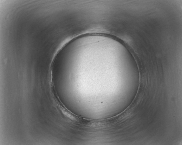 X0000062861366200601271519