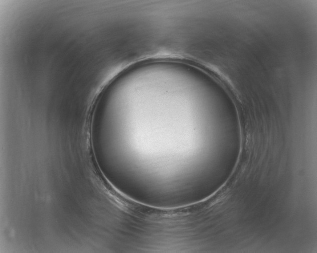 X0000062861367200601271519