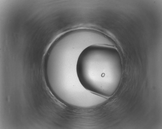 X0000062861368200601271519