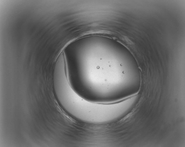 X0000062861369200601271519