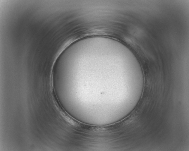 X0000062861370200601271519