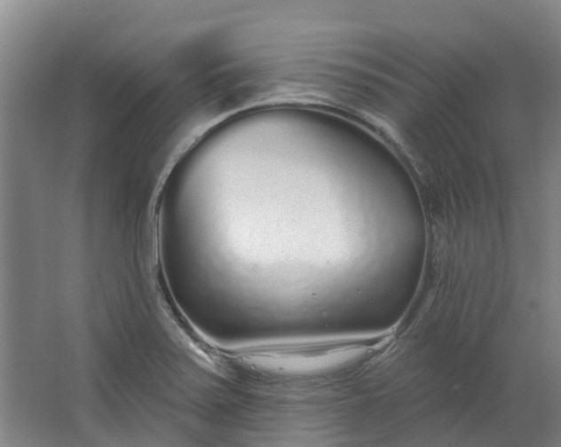 X0000062861371200601271519