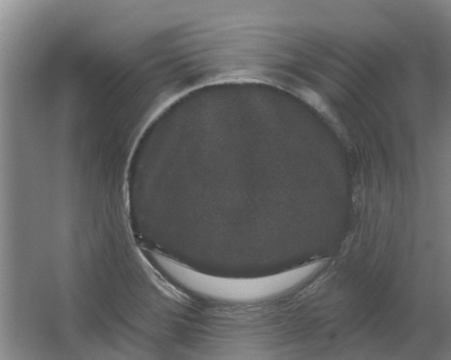 X0000062861372200601271519