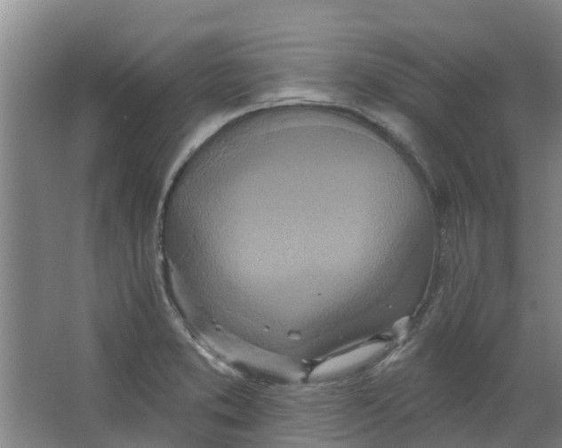 X0000062861373200601271519