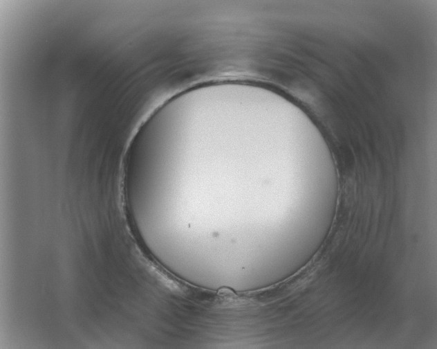 X0000062861374200601271519