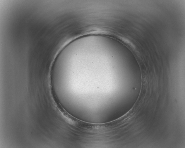 X0000062861375200601271519