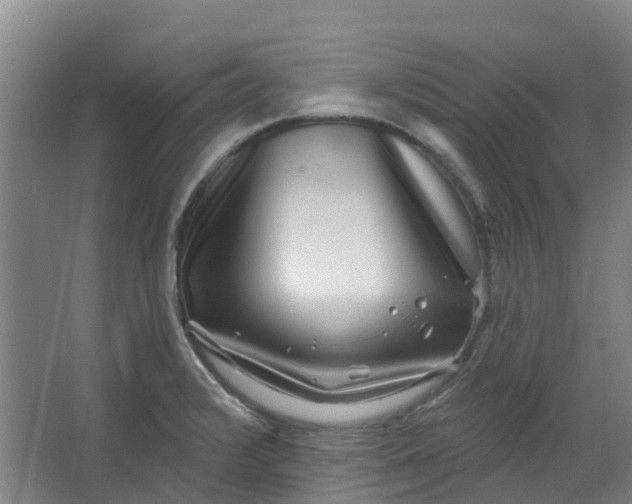 X0000062861376200601271519