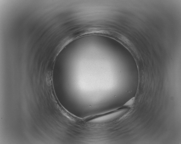 X0000062861377200601271519