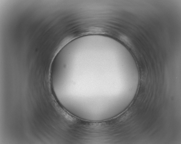 X0000062861378200601271519