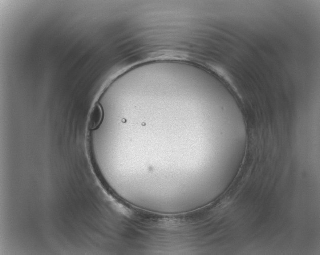 X0000062861379200601271519