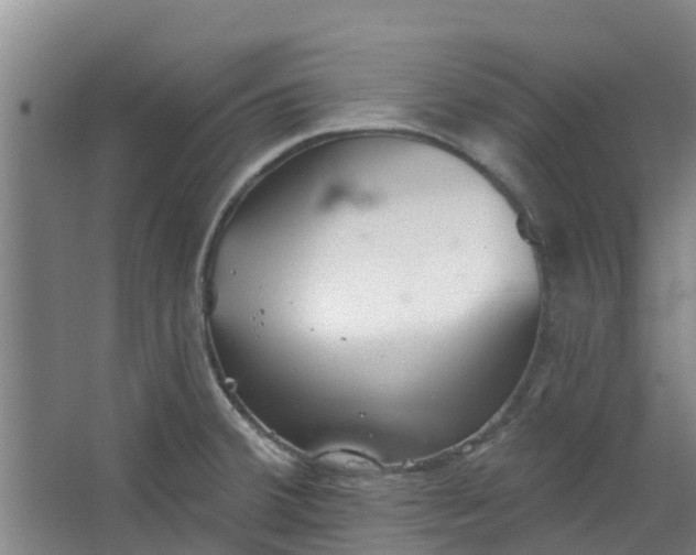 X0000062861380200601271519