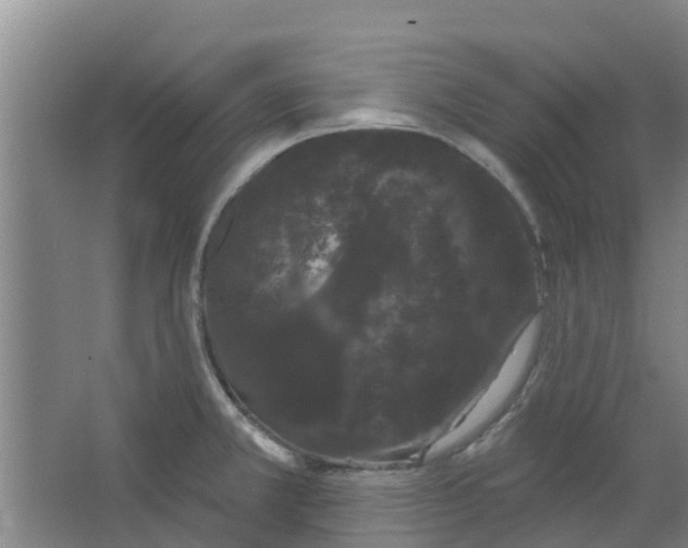 X0000062861381200601271519