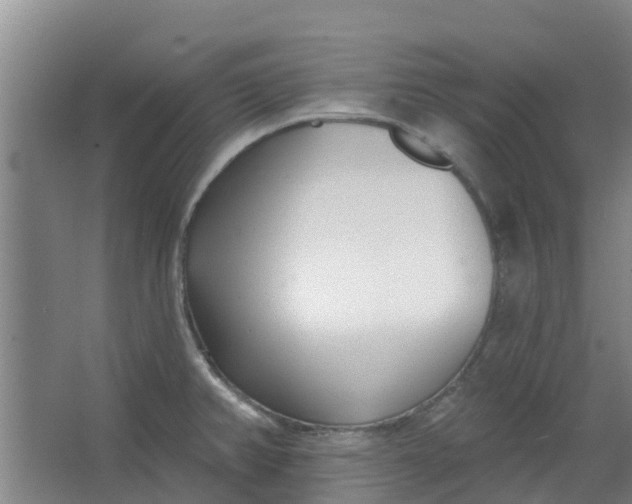 X0000062861382200601271519