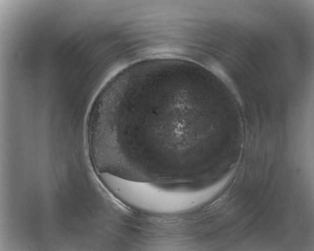 X0000062861384200601271519