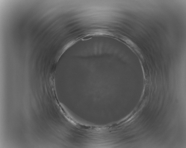 X0000062861385200601271519