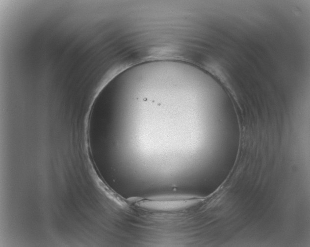 X0000062861386200601271519