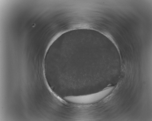 X0000062861389200601271519