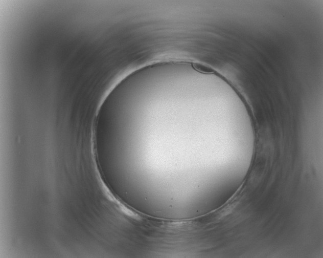 X0000062861390200601271519