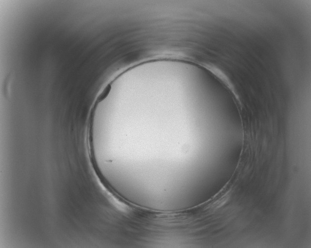 X0000062861391200601271519