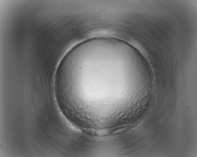 X0000062861392200601271518