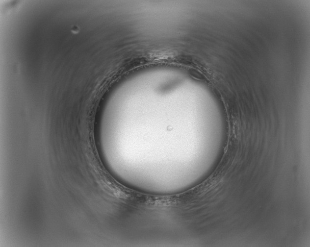 X0000062861393200601271518